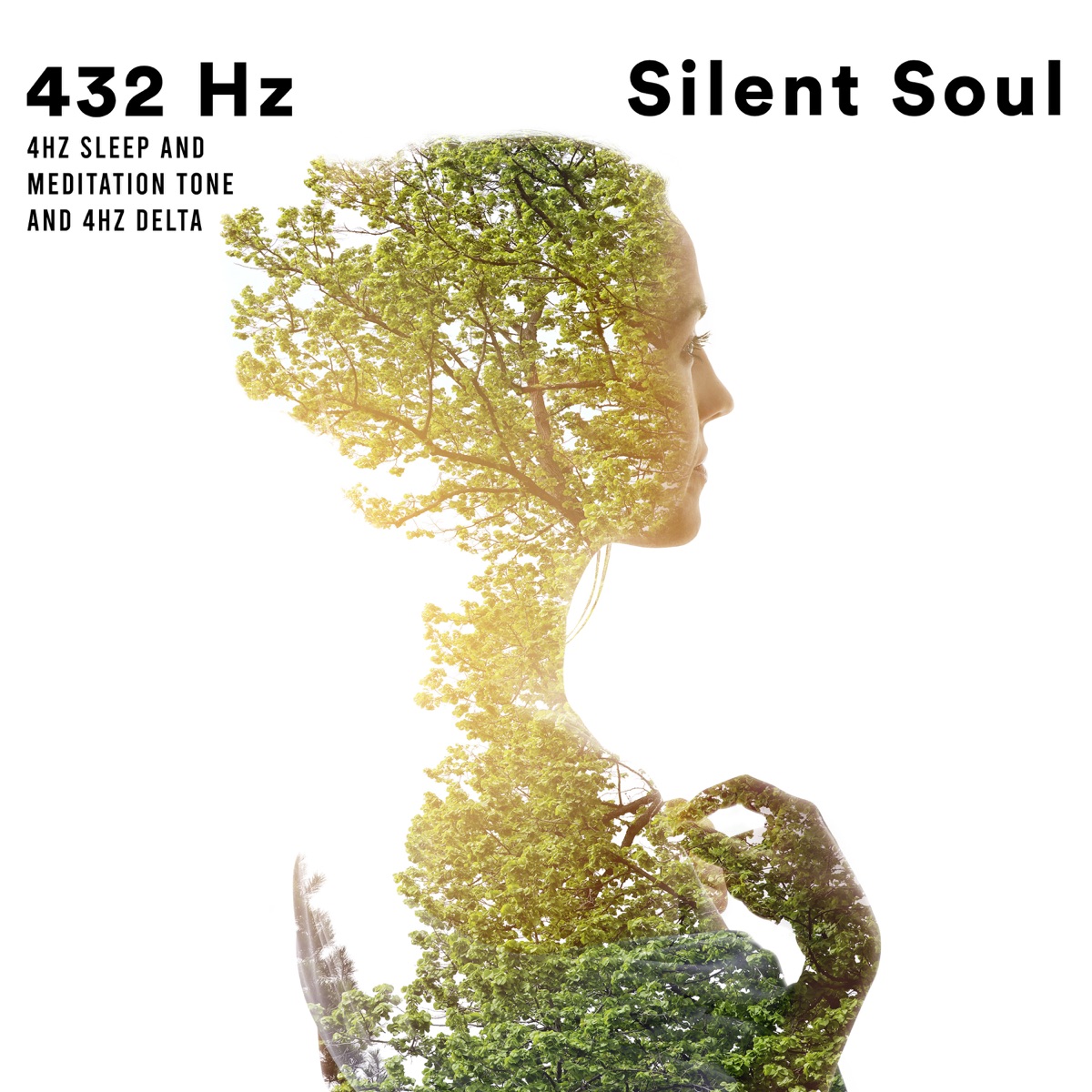 ᐉ 432 Hz Sleep And Meditation Tone With 4 Hz Delta Mp3 3kbps Flac Download Soundtracks